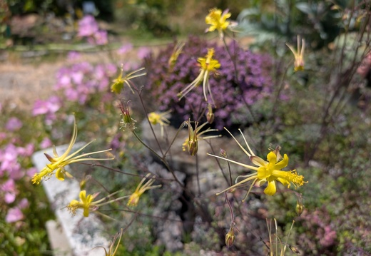 gardens by the lake